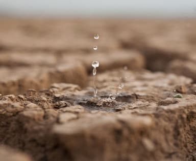 Watershed Conservation and Stewardship