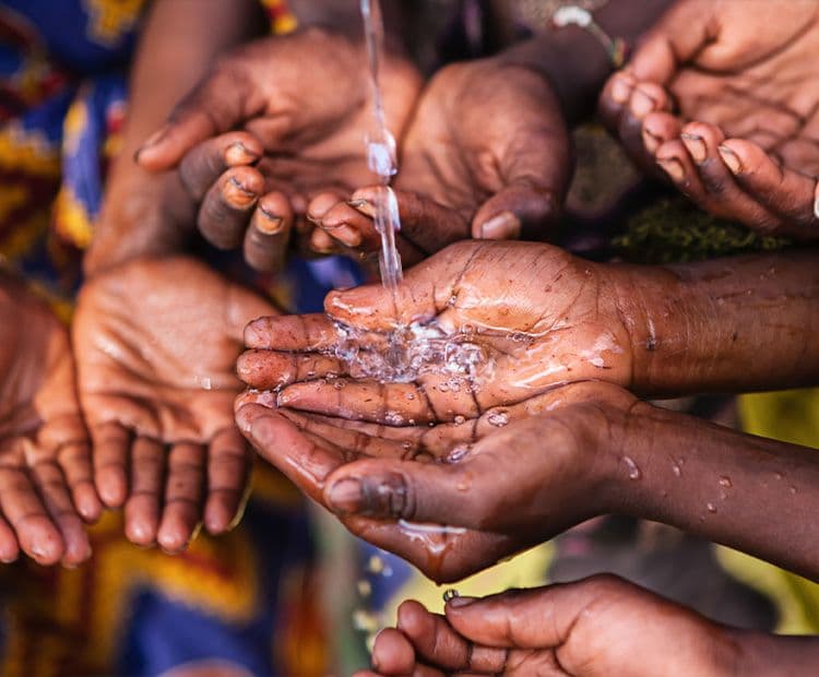 Inclusive Value Chains